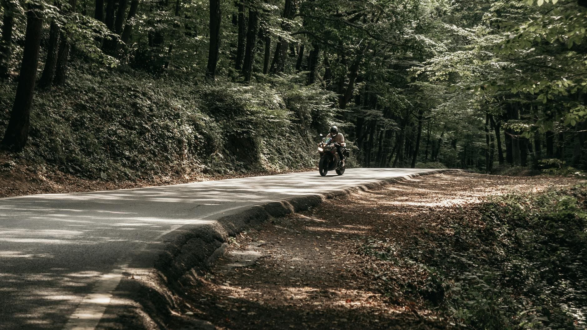 A motorbike rider navigating a winding forest road in daylight.